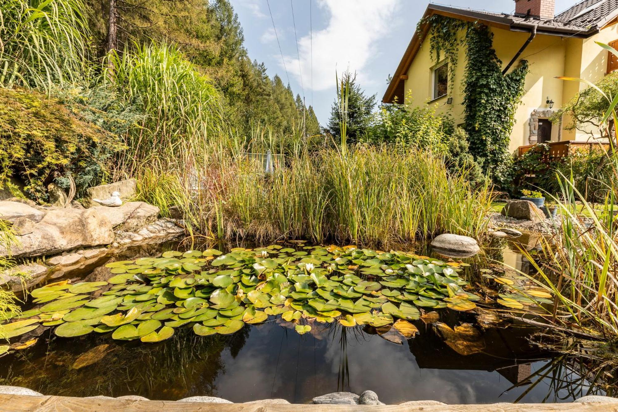Apartamenty Zielona Owieczka Niedzica Zamek Bagian luar foto