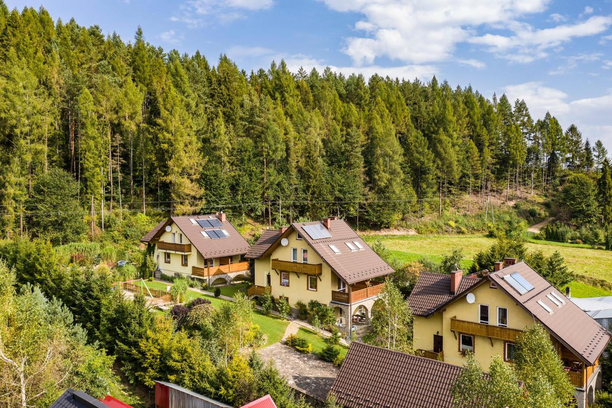 Apartamenty Zielona Owieczka Niedzica Zamek Bagian luar foto