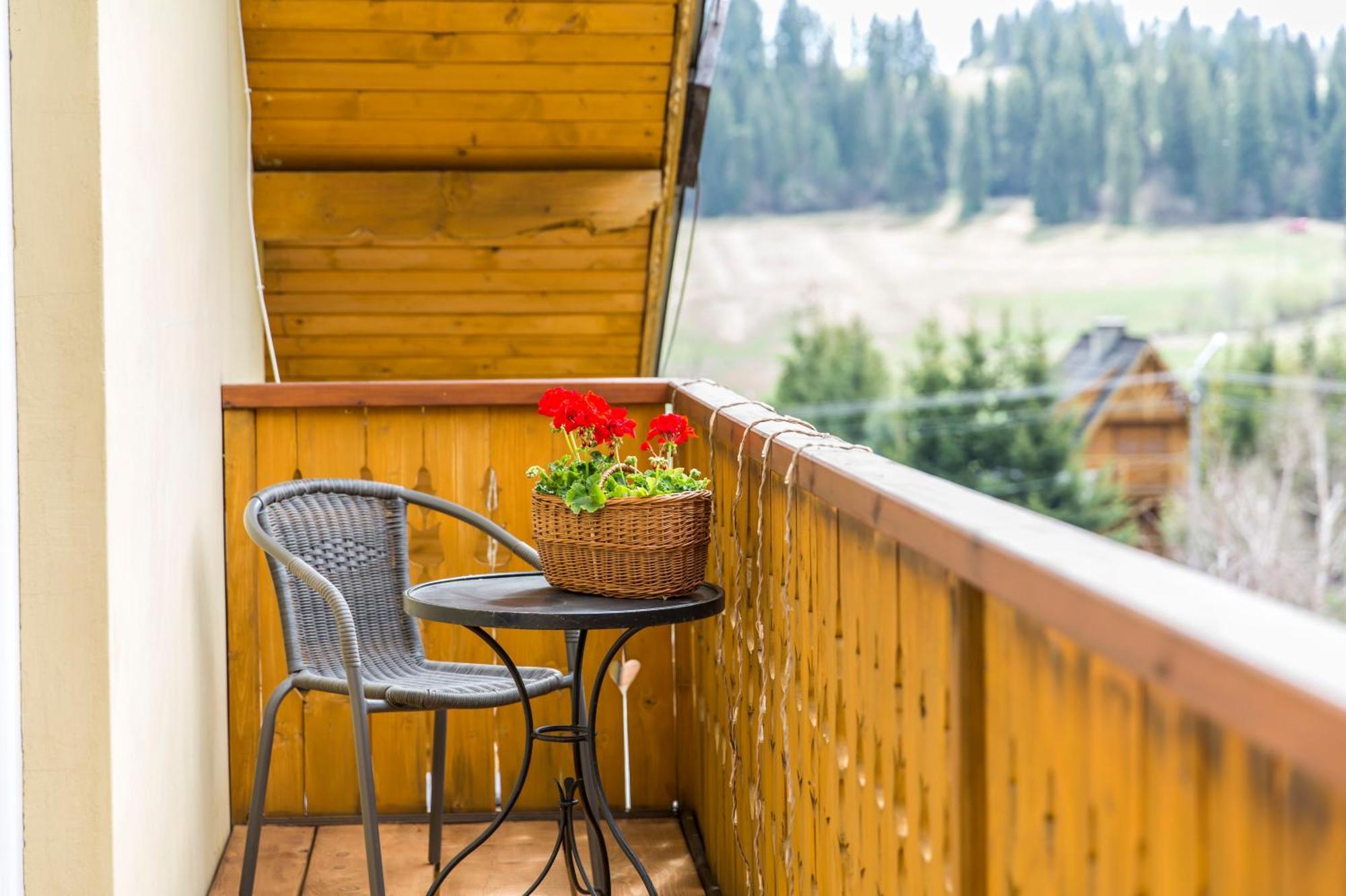 Apartamenty Zielona Owieczka Niedzica Zamek Bagian luar foto