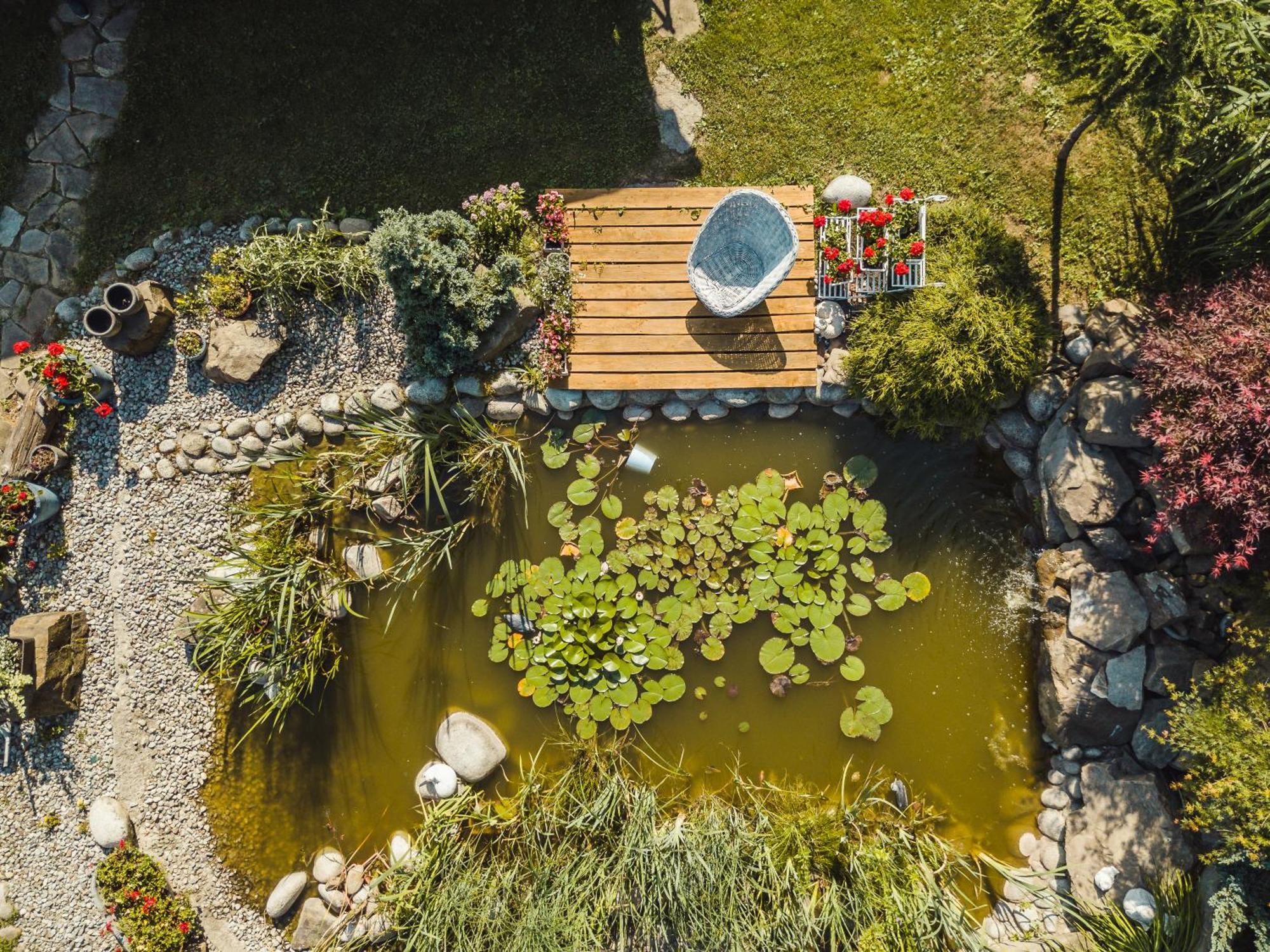Apartamenty Zielona Owieczka Niedzica Zamek Bagian luar foto