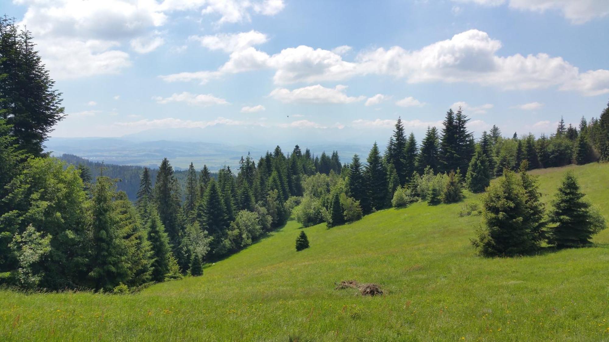 Apartamenty Zielona Owieczka Niedzica Zamek Bagian luar foto
